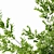 22-Inch Indoor Plant 3D Model 3D model small image 5