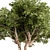 Rustic RedGum Tree Set 3D model small image 2