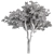 Rustic RedGum Tree Set 3D model small image 3