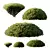 Mugo Bush 3D Model Kit 3D model small image 1