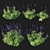 Blue Salvia Bush Render Model 3D model small image 3