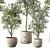 Modern Indoor Plant Set Trio 3D model small image 2