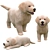 Golden Retriever Puppies Miniatures 3D model small image 11