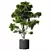 Modern Indoor Plant Collection 3D model small image 1