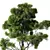 Modern Indoor Plant Collection 3D model small image 3