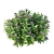 Corona Render 3D Model Pentas Lanceolata Bush 3D model small image 3