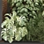 Modern Indoor Plants Set 1305 3D model small image 4