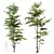 Variety Carpinus Betulus 3D Models 3D model small image 4