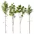  Spring Betula Pendula Castanea Sativa 3D model small image 1
