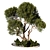 Outdoor Plant 184 3D Model 3D model small image 1