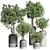 Concrete Vase Plant Set 491 3D model small image 1