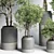 Concrete Vase Plant Set 491 3D model small image 3