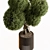Topiary Ball Outdoor Plant 3D model small image 2