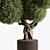 Topiary Ball Outdoor Plant 3D model small image 3