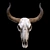 Vintage Longhorn Skull Decor Model 3D model small image 2