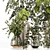 High-Quality Plants Bouquet Set 3D model small image 3