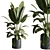 Rubber Ficus Indoor Plant 501 3D model small image 1