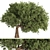 Elegant Olive Tree Set 16 3D model small image 1