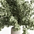 Rustic Green Branch Bouquet 3D model small image 2