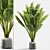 Title: Gorgeous Banana Plant 058 3D model small image 1