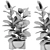 Botanical Collection Set 76 3D model small image 3