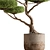Topiary Ball Plant for Outdoors 3D model small image 3