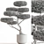 Topiary Ball Plant for Outdoors 3D model small image 4