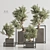 Exquisite Bonsai & Indoor Plant 3D model small image 1