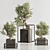 Exquisite Bonsai & Indoor Plant 3D model small image 3