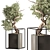 Exquisite Bonsai & Indoor Plant 3D model small image 4