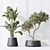 Urban Jungle Plant Set: 5 Varieties 3D model small image 4