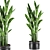  Botanic Bliss Set 86 3D model small image 1