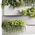 Premium Hanging Vertical Garden Plants 3D model small image 3