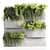 Premium Hanging Vertical Garden Plants 3D model small image 4