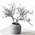 Rustic Dried Branch Bouquet 3D model small image 4
