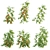 Assorted 3D Plant Models Collection 3D model small image 1