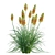 3D Plant Models Collection: Vray Compatibility 3D model small image 5