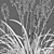 3D Plant Models Collection: Vray Compatibility 3D model small image 8