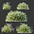 Snowflake Gypsophila 3D Plant Models 3D model small image 3