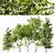 Maple 3D Tree Models Set 3D model small image 1