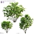 Canadian Serviceberry Berries Collection 3D model small image 1