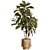 Natural Wood Indoor Plant Decor 3D model small image 1