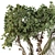 Jungle Tree & Ivy Plants Kit 3D model small image 4