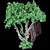 Jungle Tree & Ivy Plants Kit 3D model small image 6