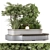 Lush Backyard Bush and Trees 3D model small image 2
