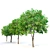 Elegant Trimmed Locust Tree 3D model small image 2