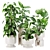 Vibrant 3D Plants Collection Kit 3D model small image 1