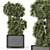Palm Tree Plant Metal Pot 3D model small image 2