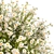 Summer Field Daisy Bouquet 3D model small image 2