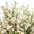 Summer Field Daisy Bouquet 3D model small image 6